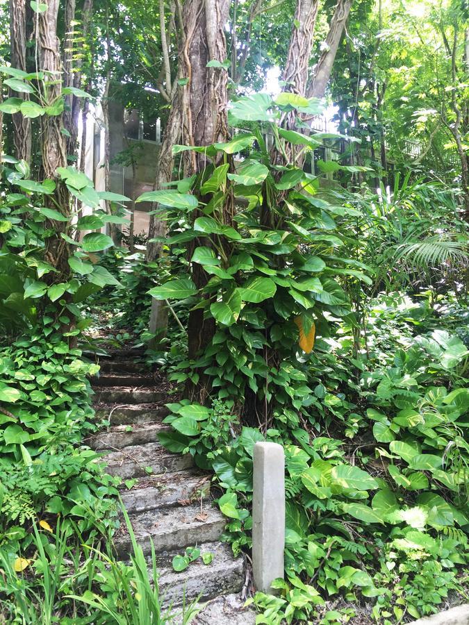 Dos Aguas Bed & Breakfast Rio Grande Bagian luar foto